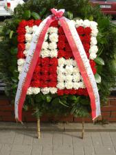 Wieniec pogrzebowy z żywych kwiatów, kształt kwadratowy, goździki białe i czarwone, plumosus, liście salal, podklad jodłowy, szarfa satynowa biało-czerwona 10cm, druk komputerowy (+40 zł).