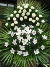 Wieniec z żywych kwiatów, wielkość: bardzo duży, róże kremowe (Avalanche), storczyki białe (Cymbidium), lilie białe (Casablanca), liść palmy, podkład jodłowy, zieleń dekoracyjna.