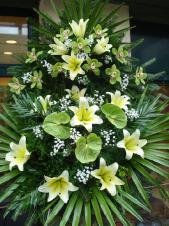 Wieniec z żywych kwiatów, wielkość: średni, storczyki zielone (Cymbidium), lilie kremowe (Conca D'Or), anthurium zielone (Midori), liść palmy, podkład jodłowy, zieleń dekoracyjna.