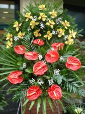 Wieniec z żywych kwiatów, wielkość: średni, storczyki złote (Cymbidium), anthurium czerwone (Tropical), liść palmy, podkład jodłowy, zieleń dekoracyjna.