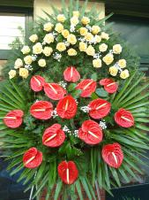 Wieniec z żywych kwiatów, wielkość: bardzo duży, róże kremowe (Savita), anthurium czerwone, liść palmy, podkład jodłowy, zieleń dekoracyjna.