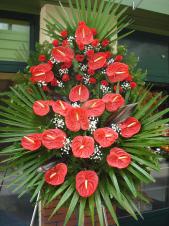 Wieniec z kwiatów, wielkość: duży, róże czerwone (sztuczna), anthurium czerwone (naturalne), liść palmy, kordylina, podkład jodłowy, zieleń dekoracyjna.