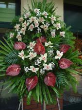 Wieniec z żywych kwiatów, wielkość: duży, storczyki białe (Cymbidium), anthurium bordowe (Safari), liść palmy, podkład jodłowy, zieleń dekoracyjna.