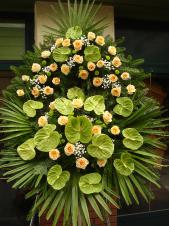 Wieniec pogrzebowy z żywych kwiatów, wielkość: bardzo duży, róża herbaciana (Savita), anthurium zielone (Midori), liść palmy, podkład jodłowy, zieleń dekoracyjna.