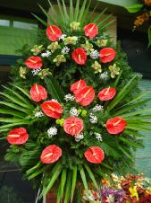 Wieniec z żywych kwiatów, wielkość: średni, storczyki zielone (Cymbidium), anthurium czerwone, liście palmy, podkład jodłowy, zieleń dekoracyjna.