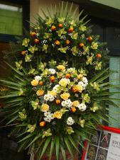 Wieniec pogrzebowy z żywych kwiatów, wielkość: bardzo duży, storczyki zielone (Cymbidium), tulipany czerwono-żółte, róże kremowe (Savita), chryzantema biała (Bacardi), liść palmy, podkład jodłowy, zieleń dekoracyjna.