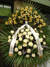 Wieniec pogrzebowy z żywych kwiatów, wielkość: bardzo duży, róże kremowe (Avalanche), storczyki złote (Cymbidium), liść palmy, podkład jodłowy, zieleń dekoracyjna.