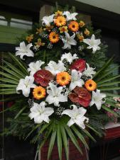 Wieniec pogrzebowy z żywych kwiatów, wielkość: duży, anthurium brązowe (Choco), lilie białe (Casablanca), gerbery herbaciane, storczyki złoto-żółte, liść palmy, podkład jodłowy, zieleń dekoracyjna.