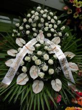 Wieniec pogrzebowy z żywych kwiatów, wielkość: bardzo duży, róże kremowe (Avalanche), anthurium białe (Carnaval), liść palmy, podkład jodłowy, zieleń dekoracyjna, szarfa satynowa 10cm, druk komputerowy(+30zł).