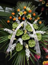 Wieniec pogrzebowy z żywych kwiatów, wielkość: duży, anthurium zielone (Midori), mieczyk biały, cantadeskia żółta, róże herbaciane (Finess), lilie kremowe (Conca D'or), liść palmy, podkład jodłowy, zieleń dekoracyjna, szarfa satynowa 7cm, druk komputerowy (+20zł).