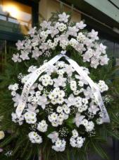 Wieniec z żywych kwiatów, wielkość:  bardzo duży, storczyki białe (Cymbidium), chryzantemy białe, podkład jodłowy, szarfa satynowa bez frędzli, druk komputerowy (+20zł).