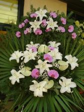 Wieniec z żywych kwiatów, lilia biała, storczyk różowy (Phalaenopsis), anthurium jasnozielone, podkład jodłowy, zieleń dekoracyjna, liść plamy.