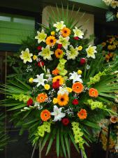 Wieniec pogrzebowy z żywych kwiatów, wielkość: średni, gerbera pomarańczowa, lilie białe, róże pąsowe i żółte, mieczyk zielony, liść palmy, podkład jodłowy, zieleń dekoracyjna.