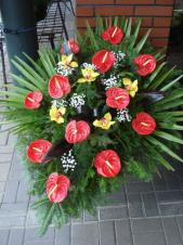 Wiązanka pogrzebowa z kwiatów żywych, wielkość: duża, anthurium czerwone (Tropico),storczyk złoty (Cymbidium), zieleń dekoracyjna, podkład jodłowy.