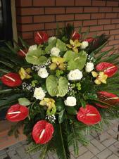 Wiązanka pogrzebowa z kwiatów żywych, wielkość: bardzo duża, anthurium czerwone (Tropico), anthurium zielone, róża kremowa (Avalanche), storczyk złoty (Cymbidium), zieleń dekoracyjna, podkład jodłowy.