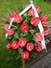 Wiązanka pogrzebowa z kwiatów żywych, wielkość: duża, anthurium czerwone (Tropical), zieleń dekoracyjna, podkład jodłowy.