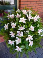 Wiązanka pogrzebowa z kwiatów żywych, wielkość: bardzo duża, storczyki białe (Cymbidium), zieleń dekoracyjna, podkład jodłowy.