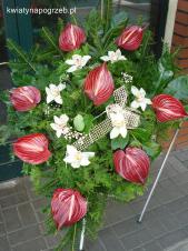 Wiązanka pogrzebowa z kwiatów żywych, anthurium bordowe (Safari), storczyk biały (Cymbidium), zieleń dekoracyjna, podkład  jodłowy.
